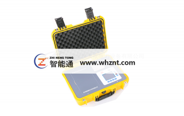 ZNT-3100  91精品国产麻豆国产自产在线電導鹽密度測試儀